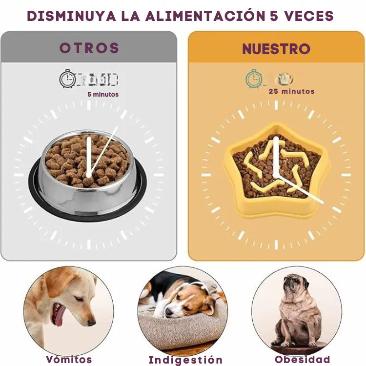 Comedero Lento En Forma De Estrella