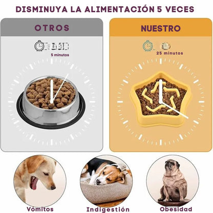 Comedero Lento En Forma De Estrella