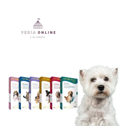Desparasitante Revolution Selamectina para Perros