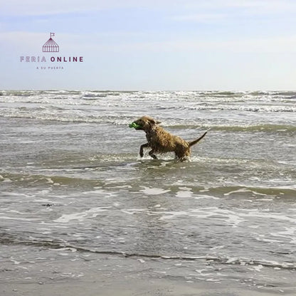 Juguete Hueso Macizo Para Perro