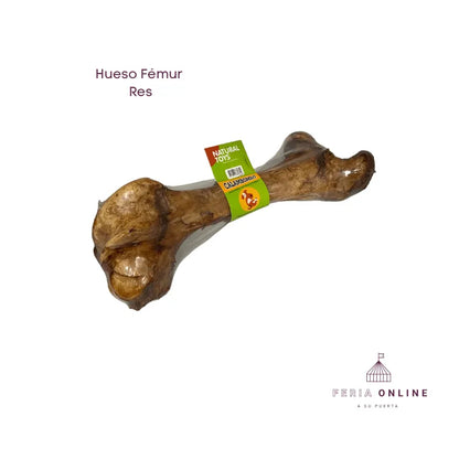 Hueso Femur De Res O Cerdo