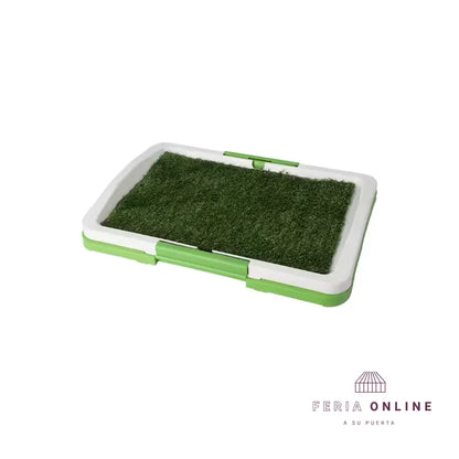 Base Sanitaria Con Gramilla Para Perros Pequeños