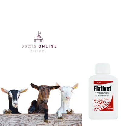 Flativet 120ML