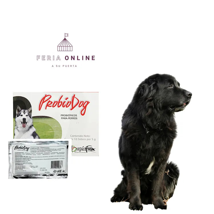 ProbioDog Sobre X 5GR