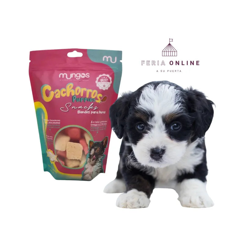 Galletas Cachorros