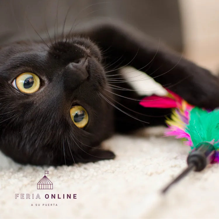 Varas Para Gato Con Pompones