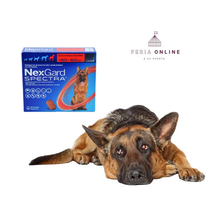 Nexgard Spectra Tableta Masticable - Antipulgas y Antiparasitario
