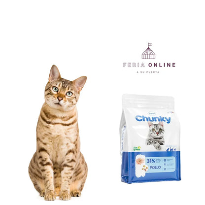 Chunky Concentrado Gatos Adultos Pollo