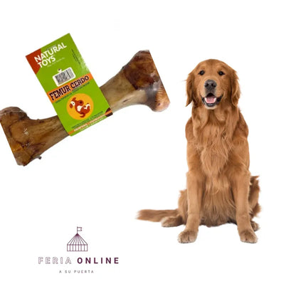 Hueso Femur De Res O Cerdo