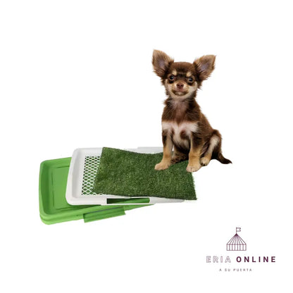 Base Sanitaria Con Gramilla Para Perros Pequeños