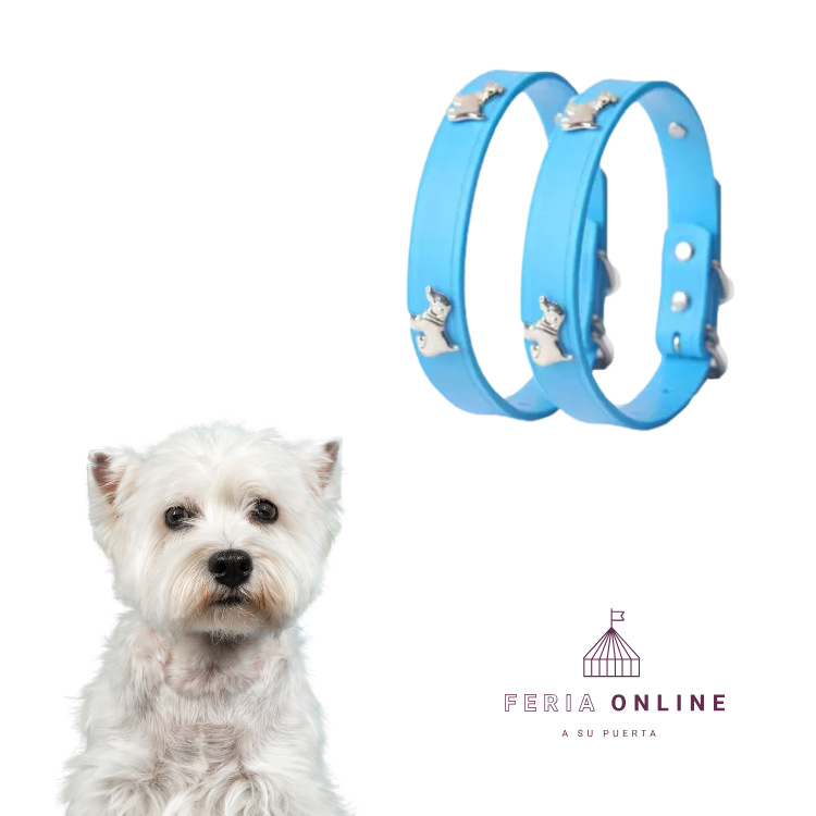 Collar Para Mascotas