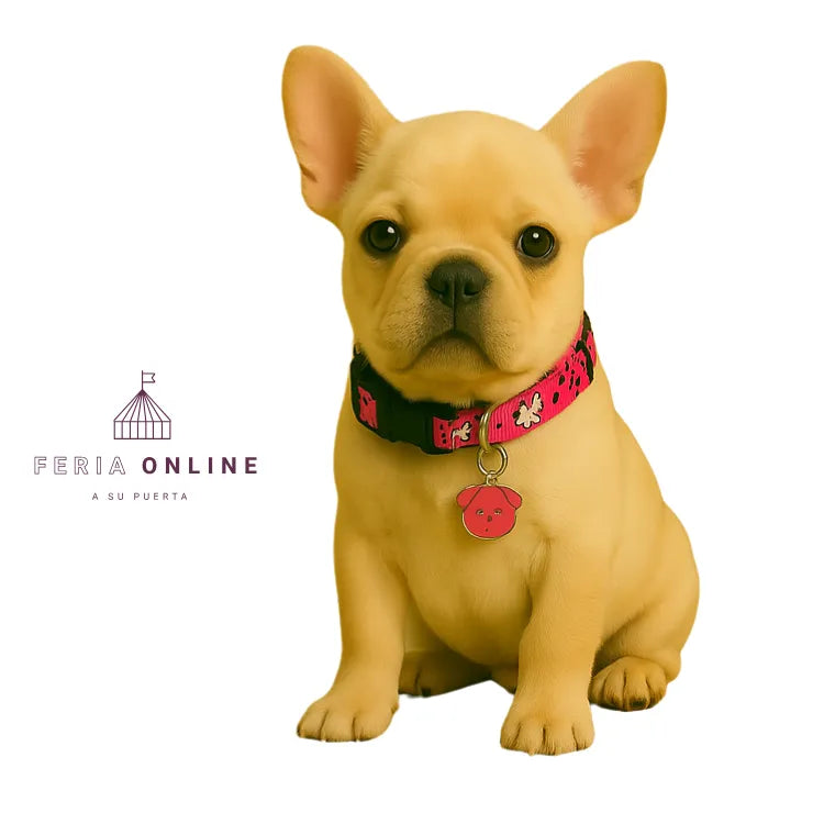 Cuello 3/4 Para Mascotas