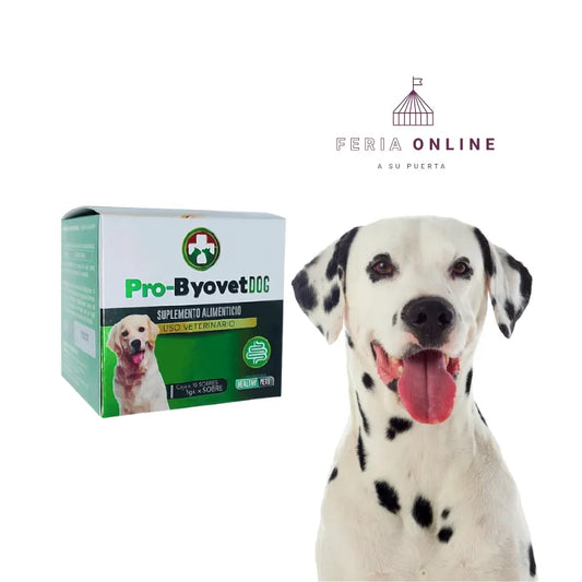 Pro- Byovet Dog