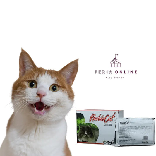 ProbioCat Sobre X 2.5GR
