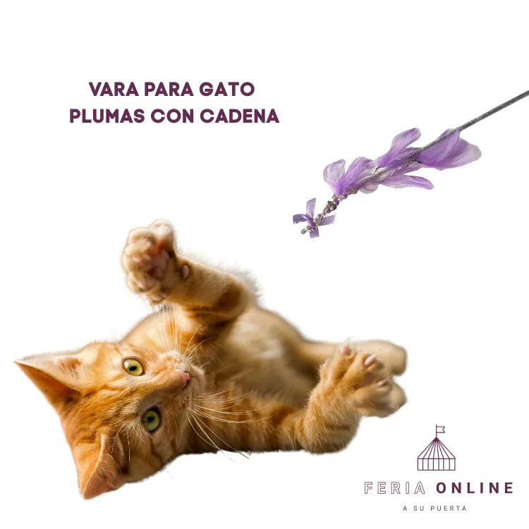Varas para Gato Con Plumas