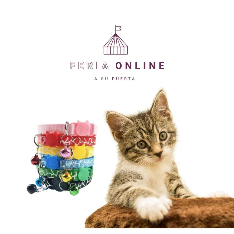Collar Para Gato Con Sonajero Y Broche de Seguridad