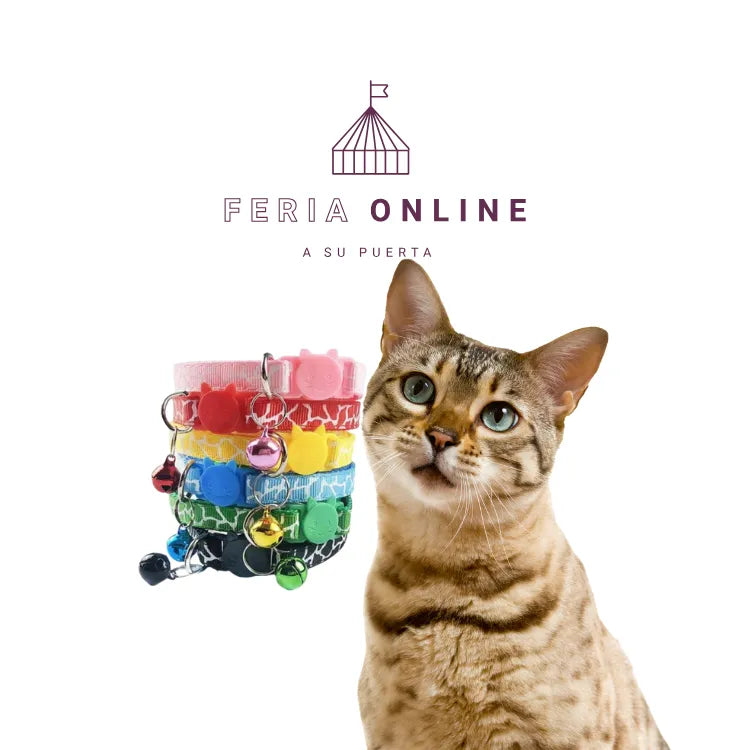 Collar Para Gato Con Sonajero Y Broche de Seguridad