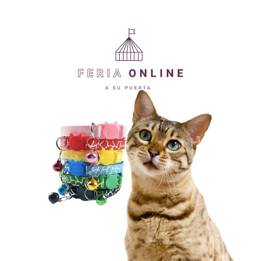 Collar Para Gato Con Sonajero Y Broche de Seguridad