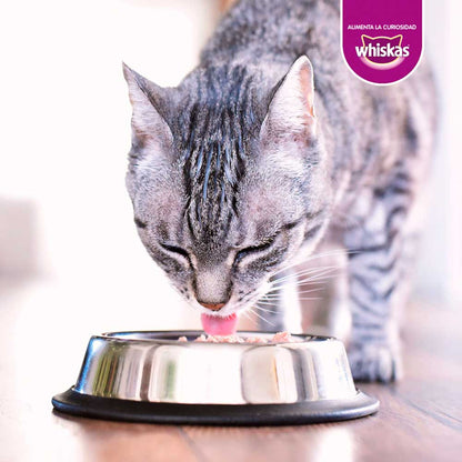 Alimento Húmedo Whiskas Gatos Adultos