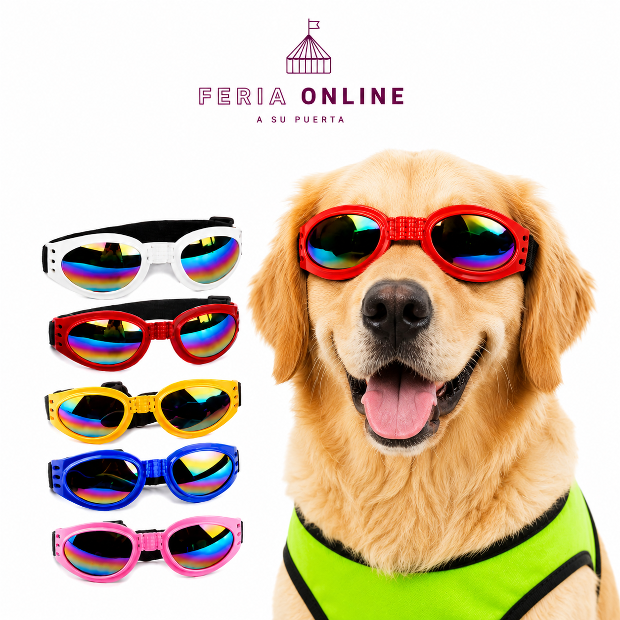 Gafas para Mascotas