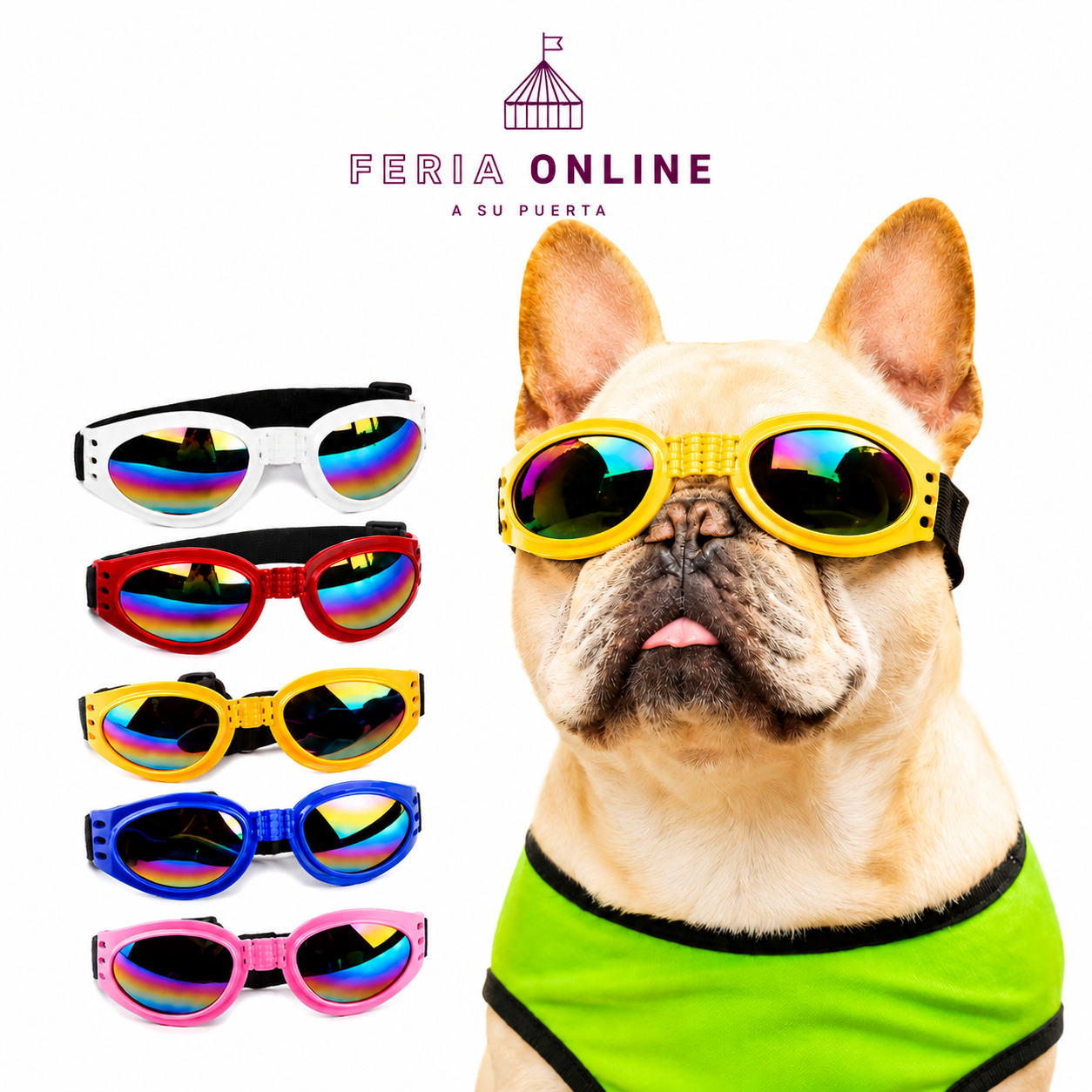 Gafas para Mascotas