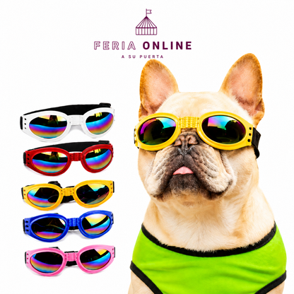 Gafas para Mascotas