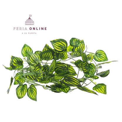 Enredadera Decorativa