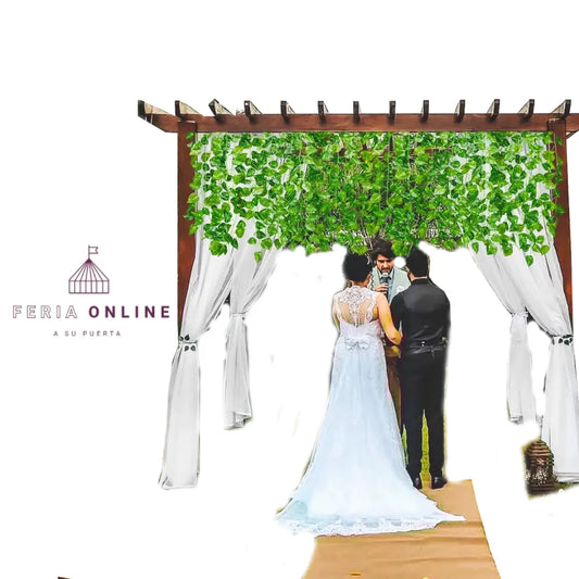 Enredadera Decorativa