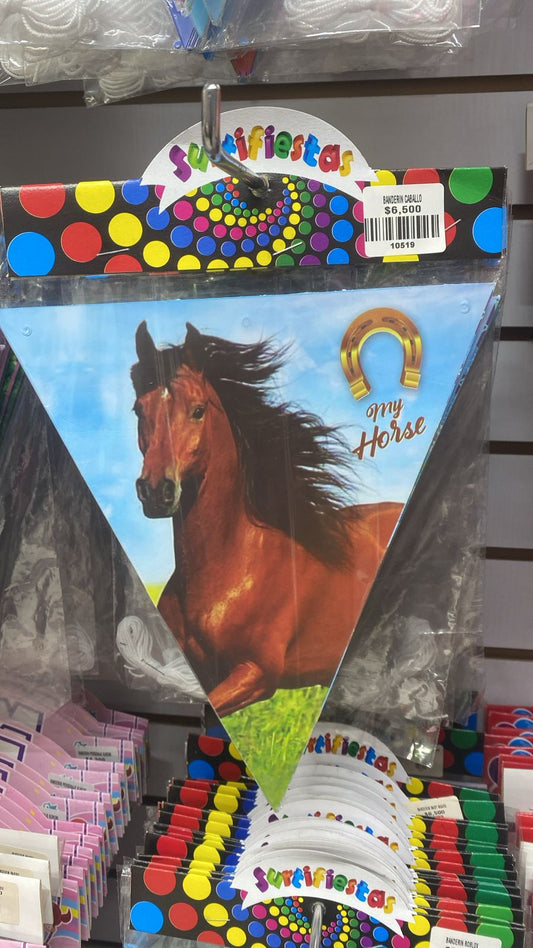 BANDERIN CABALLO