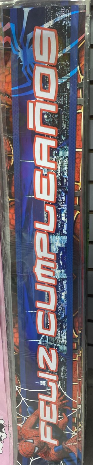 BANNER SPIDERMAN